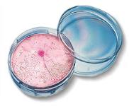 Mold & Moisture Guide For Your Home