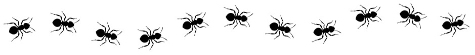 Essential Pest Protection